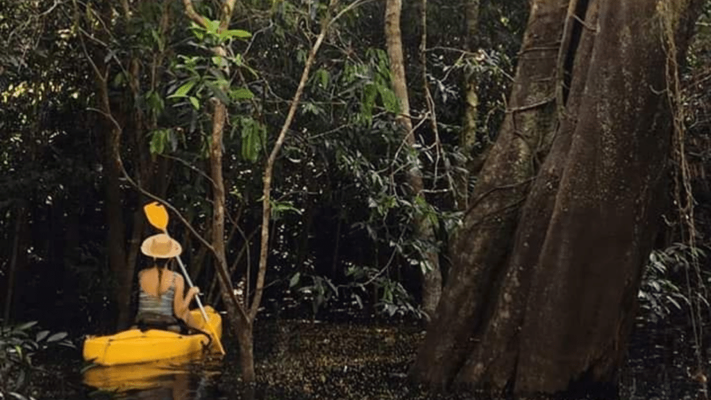 Aventure-se na floresta em Sobrevivência na Amazônia